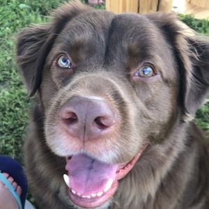 Meet your Posher, Trula